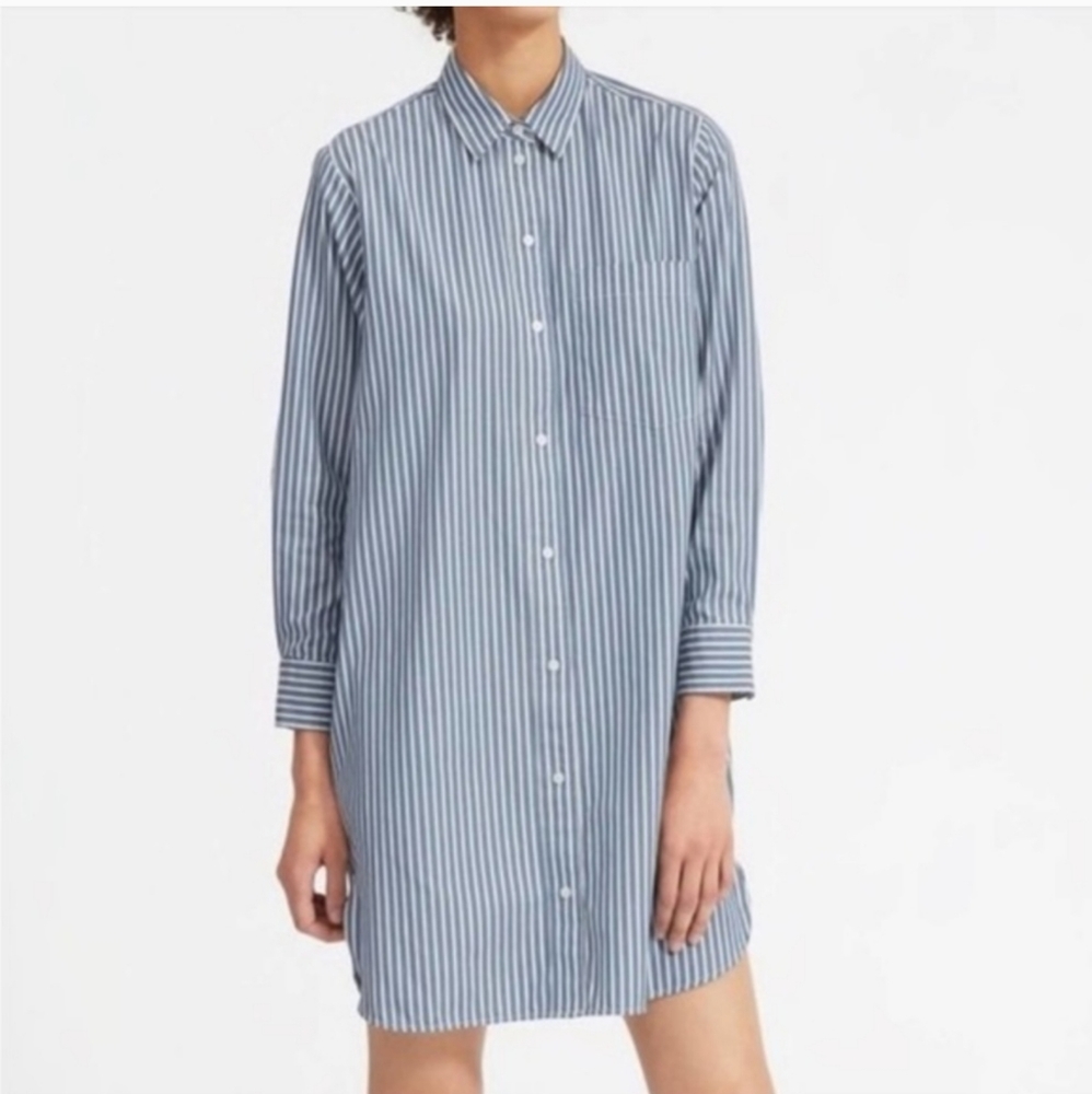 Everlane Stripe Button Down Oxford Shirt Dress- 2